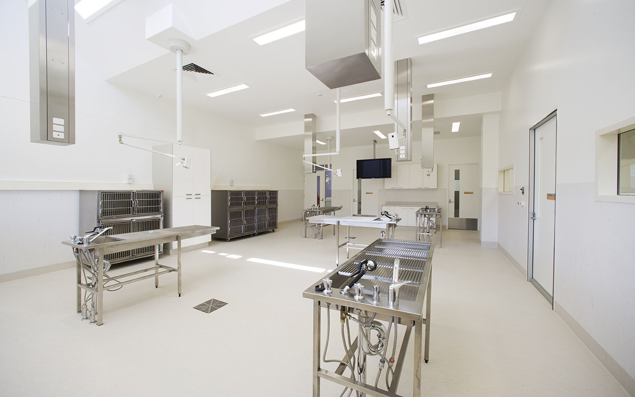 csu-clinical-teaching-facility-wagga-01