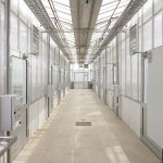csu-national-life-sciences-hub-nalsh-04
