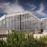csu-national-life-sciences-hub-nalsh-05