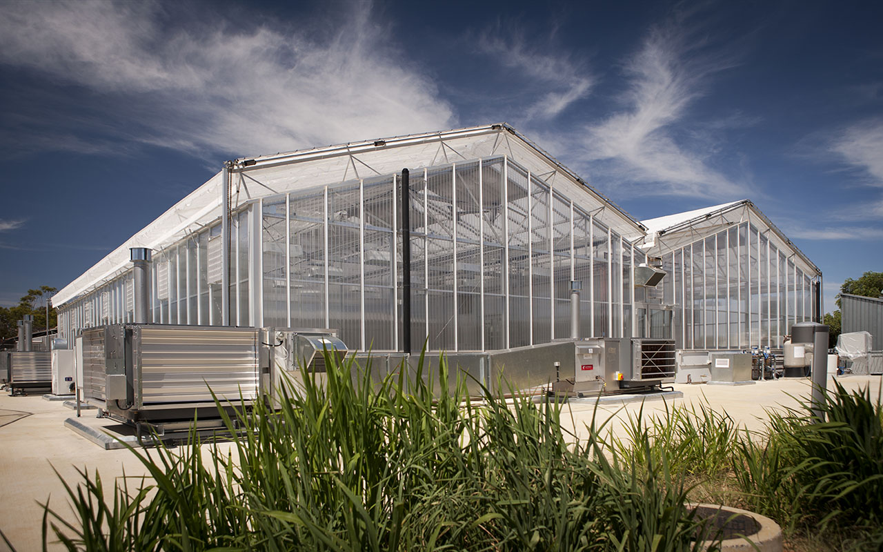 csu-national-life-sciences-hub-nalsh-05